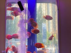 -金汤宴餐厅·粤菜(德云社店)