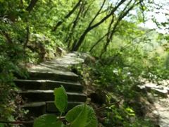 -三块石国家森林公园