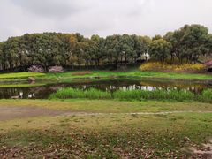 -美兰湖景区