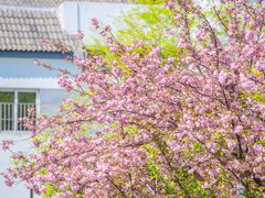 -苏州公园(双塔街道)