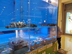 -大头椰·椰子鸡火锅(南宁万象城店)