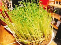 -好彩猪肚鸡(正弘城店)