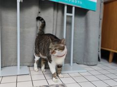 -ID.PHOTO照相馆(嘉里企业中心店)