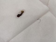 -孟记粥铺·家常菜·烧烤·粥(亚运村店)