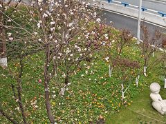 -贵州沾水米线(学田湾店)