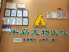 -半岛宠物医院24小时·内窥镜·牙科·碎石中心(府城大道店)