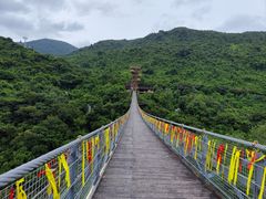 -呀诺达热带雨林
