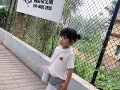 -北京市圣克弗斯幼儿园·Think first(月亮河校区)