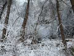 -秦岭终南山世界地质公园翠华山景区
