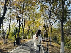 -金银湖国家城市湿地公园