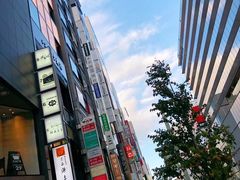 -秋叶原电器街