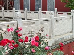 -玉泉观