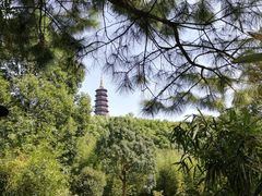 -太白楼
