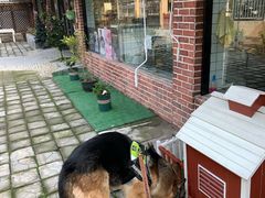 -贝贝宠物乐园(常青花园店)