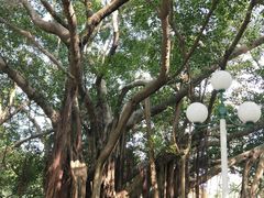 -人民公园(罗湖区)