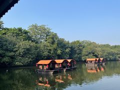 -侨美·唐荔园·40年地道粤菜