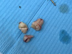 -牙博士口腔品牌连锁(杨浦店)