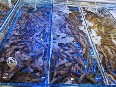 -四海蒸鲜蒸汽海鲜自助(北戴河店)
