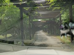 -九龙潭景区