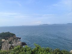 -杨梅坑