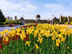 -长春公园(普阳街道)