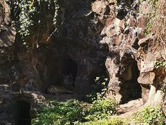 -杭州动物园