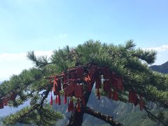 -罗田薄刀峰风景区