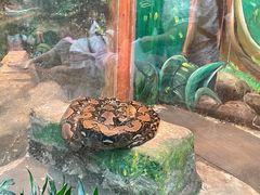 -上海大自然野生昆虫馆(东方明珠·爬宠昆虫探索中心)