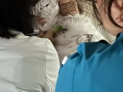 -美联众合动物医院·24h转诊中心