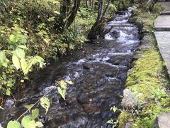 -叠溪松坪沟景区
