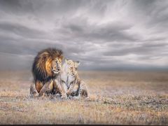 -罗红摄影艺术馆