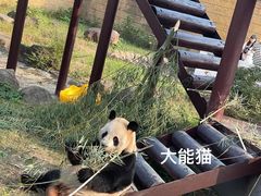 -杭州野生动物世界