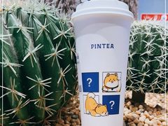 -PINTEA LAB(北京路店)