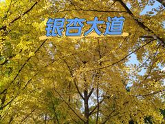 -宣武艺园