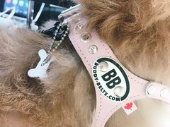 -Oh My Dog宠物沙龙(伊珊娜皮毛护理店)