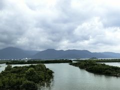 -盐洲岛