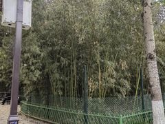 -宣武艺园