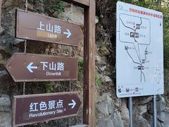 -大岭沟猕猴桃谷风景区