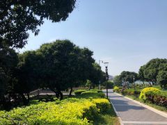 -立新湖公园