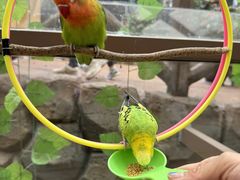 -杭州开元森泊度假乐园