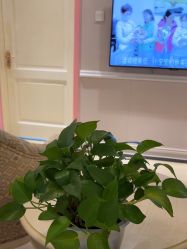 -北京俪婴妇产医院(朝阳大悦城店)