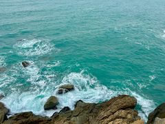 -广东惠东海龟国家级自然保护区
