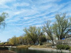 -元大都城垣遗址公园