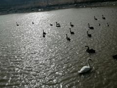 -新疆天山野生动物园