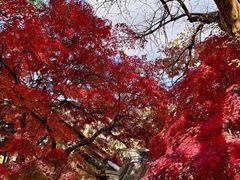 -青岛崂山太清宫