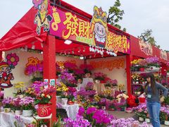 -文华公园(禅城区)