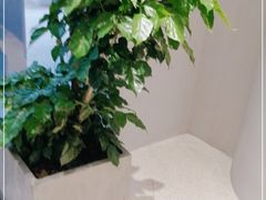 -Seesaw Coffee(西岸凤巢店)