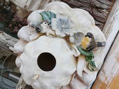 -荒度咖啡(北九水店)