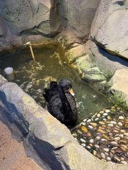 -酷嗒动物文化乐园(cutezoo西溪乐天城店)