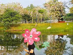 -四海公园(南山区)